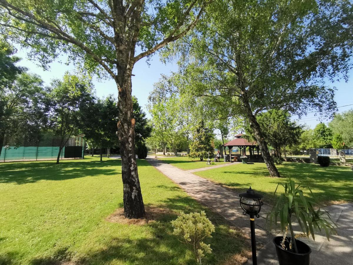 Laguna Panzio Gardony Exterior photo